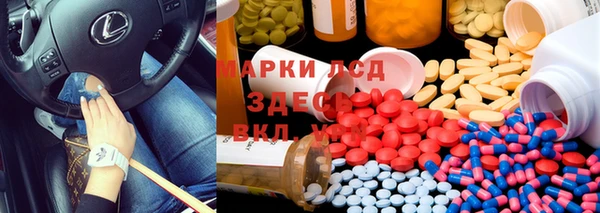 спиды Абаза