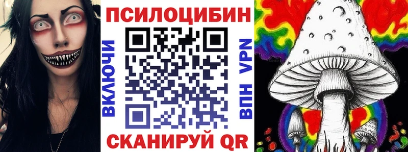 наркошоп  Сухиничи  Псилоцибиновые грибы Cubensis 